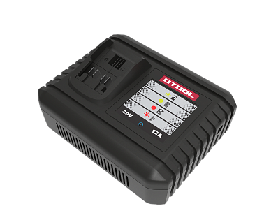 Зарядное устройство C4/20-12A 220V (6 мес безусловная гарантия)